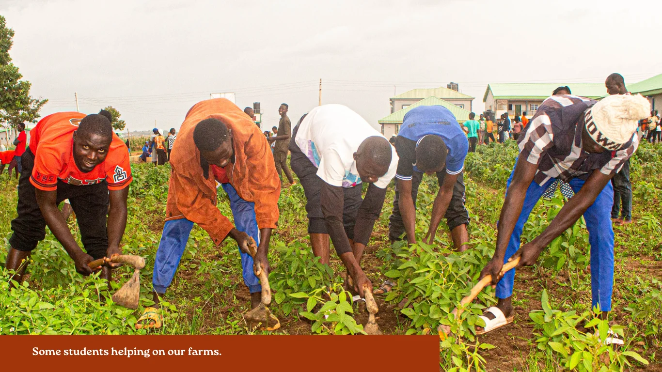 Students working on farms